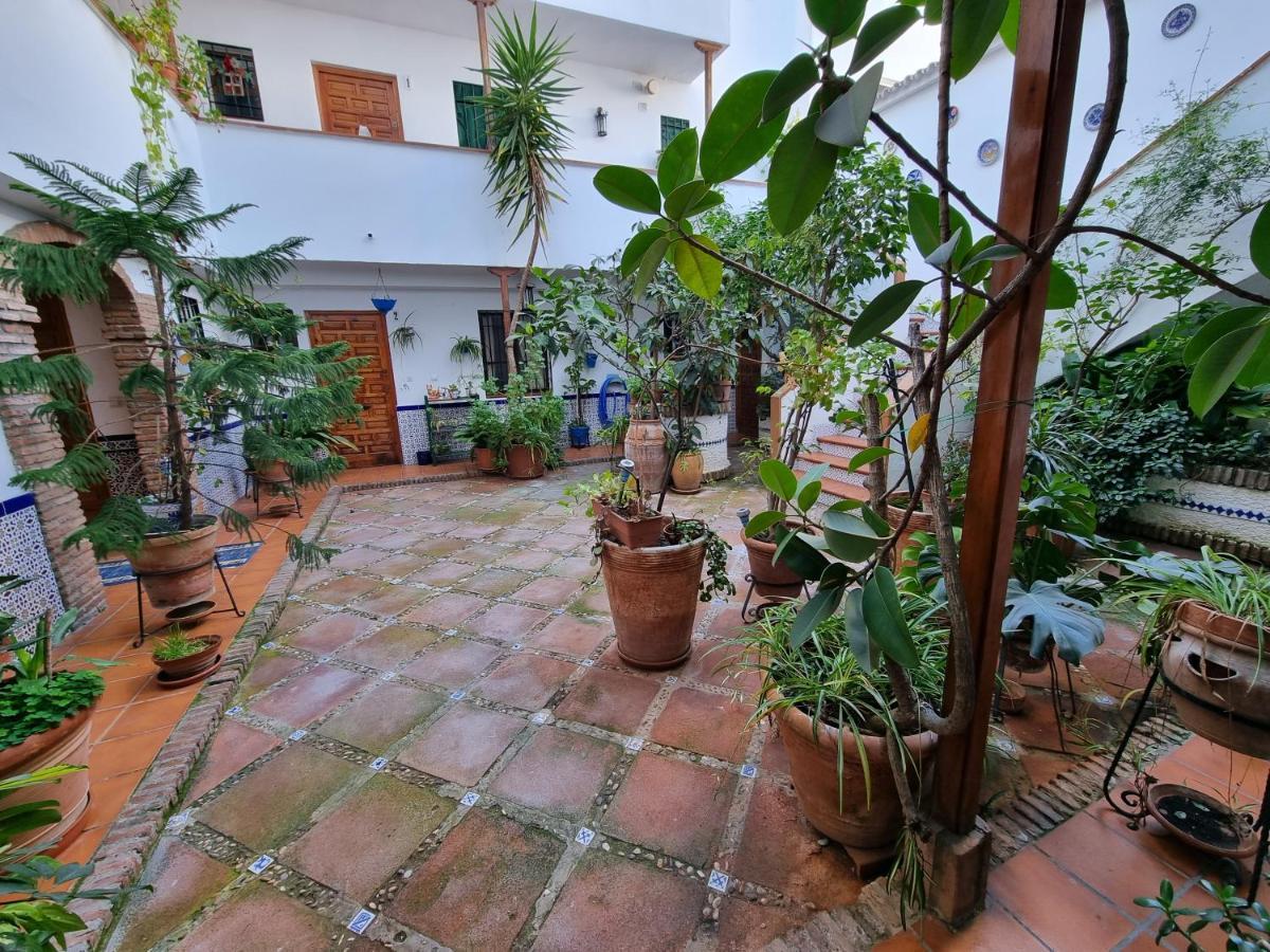 Apartamento De Estreno En Los Patios Tipicos De San Basilio Córdoba Exteriér fotografie